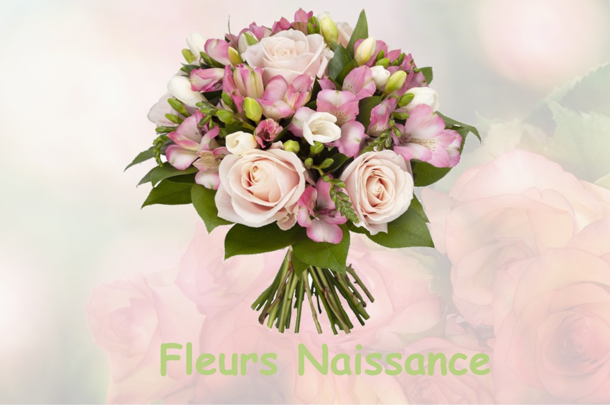 fleurs naissance FERRIERES-POUSSAROU